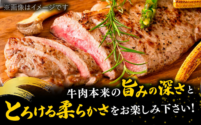 【訳あり】博多和牛 サーロイン ステーキ セット 5kg(250g×20枚)