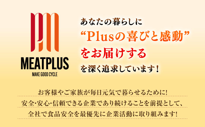 【ギフトBOX付き】福岡限定!はかた地どり美人水炊きセット 2~3人前