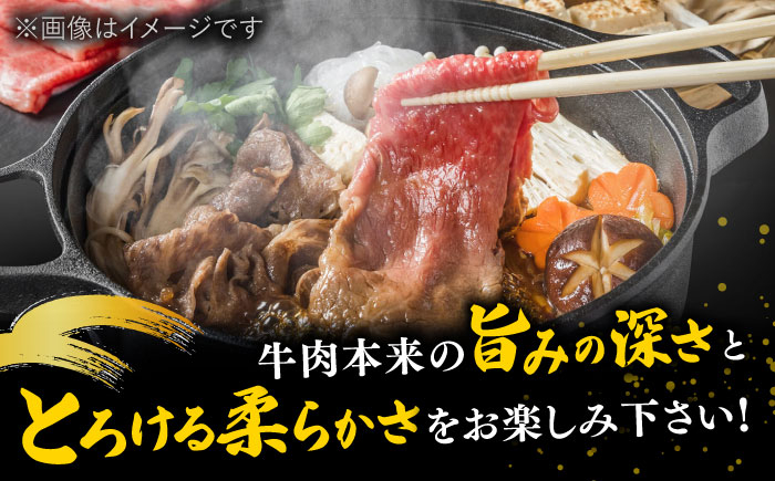 【厳選部位】博多和牛 サーロイン しゃぶしゃぶすき焼き用 500g  