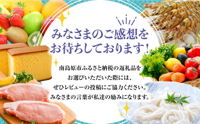 そうめん 素麺 麺 乾麺 島原そうめん ソーメン 手延べ 乾麺 手延べそうめん 島原そうめん めん 麺