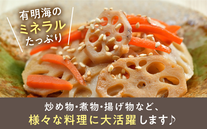 収穫から24時間以内に出荷！新鮮なれんこんをお届けします！