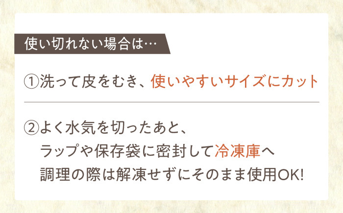 収穫から24時間以内に出荷！新鮮なれんこんをお届けします！