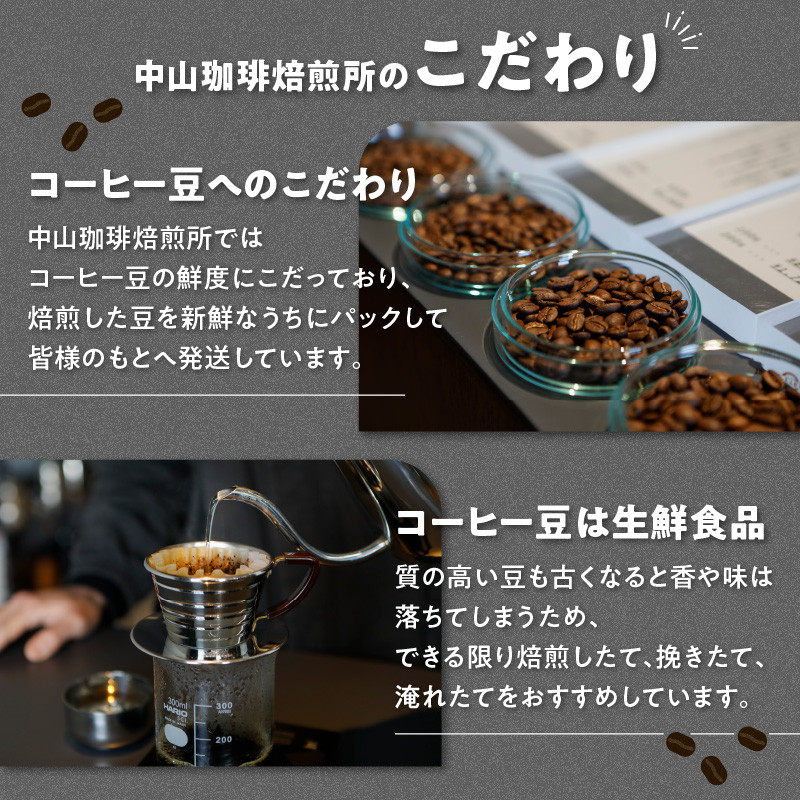 水出しコーヒーパック(30g×8パック)
