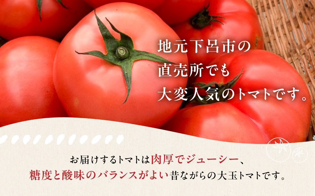 サイズは混合です。画像はイメージです。