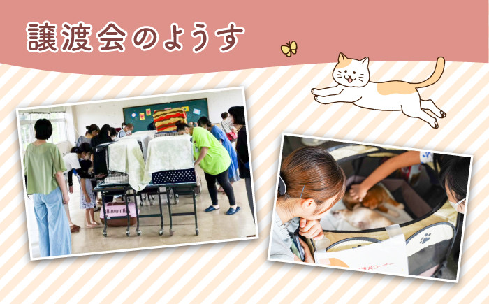 ピュア寄附 純粋寄附 応援寄附 寄附だけ 支援 地域貢献 応援 犬 猫 動物