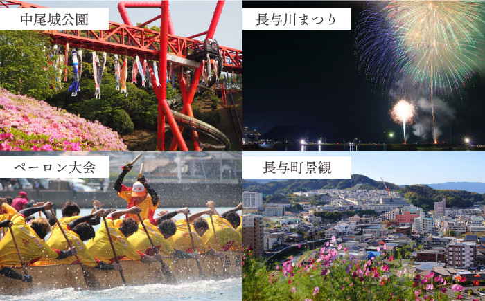 ジュース みかんジュース 飲料 ストレートジュース 100%ジュース 無添加