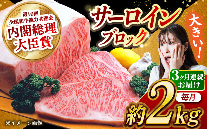 肉 牛 和牛 サーロイン 塊 ブロック 西海市 長崎 九州 定期便