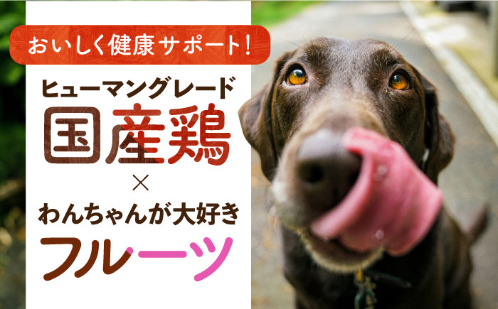 ソフトビッツ ドッグ フード いぬ 犬 イヌ おやつ ペット 乳酸菌 国産 果物 くだもの みかん オレンジ シニア
