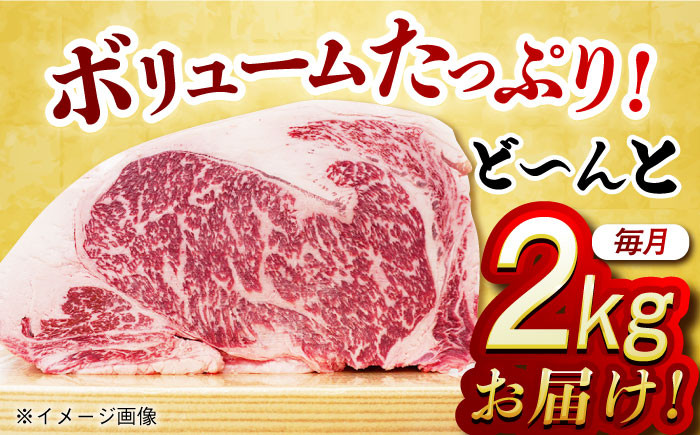 肉 牛 和牛 サーロイン 塊 ブロック 西海市 長崎 九州 定期便