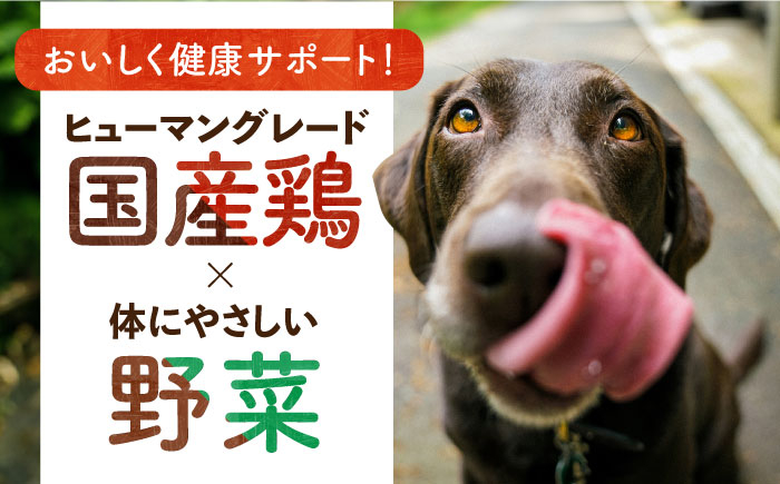 野菜 ソフトビッツ ドッグ フード 犬 いぬ イヌ おやつ ペット 乳酸菌 国産 シニア 幼犬 小分け 老犬 小型犬 中型犬