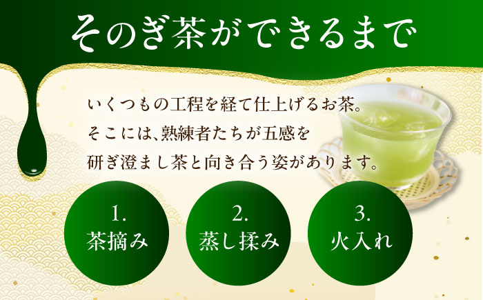 缶 ドリンク 飲料 茶 お茶 おちゃ 飲み物 長崎 長崎県産 定期便 緑茶 彼杵 そのぎ 彼杵茶
