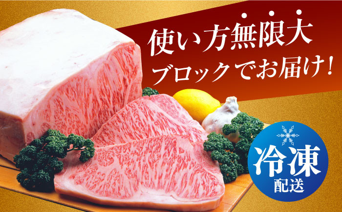 肉 牛 和牛 サーロイン 塊 ブロック 西海市 長崎 九州 定期便