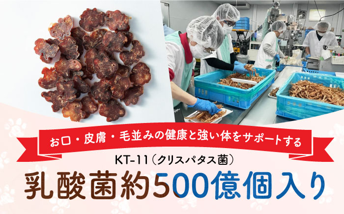 肉 ソフトビッツ ドッグ フード 犬 いぬ イヌ おやつ ペット 乳酸菌 国産 シニア 幼犬 小分け 老犬 小型犬 中型犬 大型