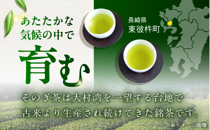 缶 ドリンク 飲料 茶 お茶 おちゃ 飲み物 長崎 長崎県産 定期便 緑茶 彼杵 そのぎ 彼杵茶