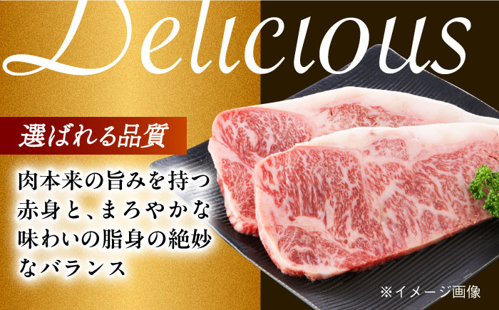 肉 牛 和牛 サーロイン 塊 ブロック 西海市 長崎 九州 定期便