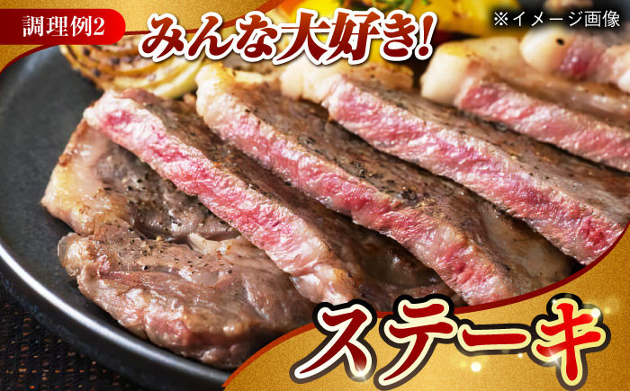 肉 牛 和牛 サーロイン 塊 ブロック 西海市 長崎 九州 定期便