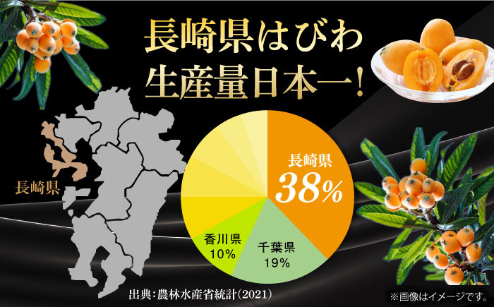びわ ビワ 枇杷 果物 フルーツ なつたより 果実 長崎県産 国産
