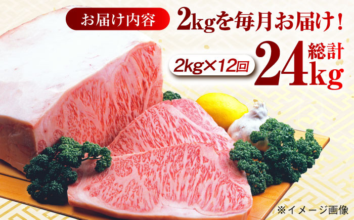 肉 牛 和牛 サーロイン 塊 ブロック 西海市 長崎 九州 定期便