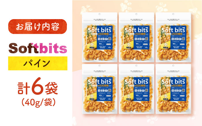ソフトビッツ ドッグ フード いぬ 犬 イヌ おやつ ペット 乳酸菌 国産 果物 くだもの シニア 幼犬 老犬 小分け 小型犬