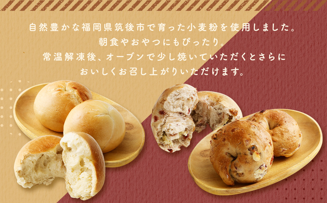 プレーン ベーグル ・ クランベリー クリームチーズ ベーグル 計11個 セット