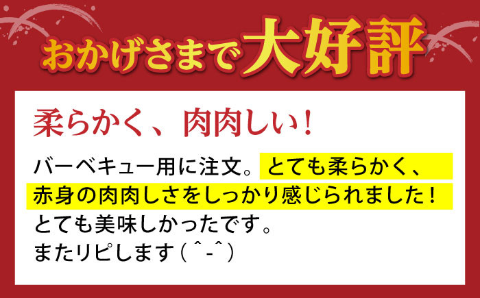 佐賀牛 赤身 ステーキ ( モモ )  200g ( 200g×1枚 ) 【山下牛舎】 [HAD033]  佐賀牛 牛肉 肉