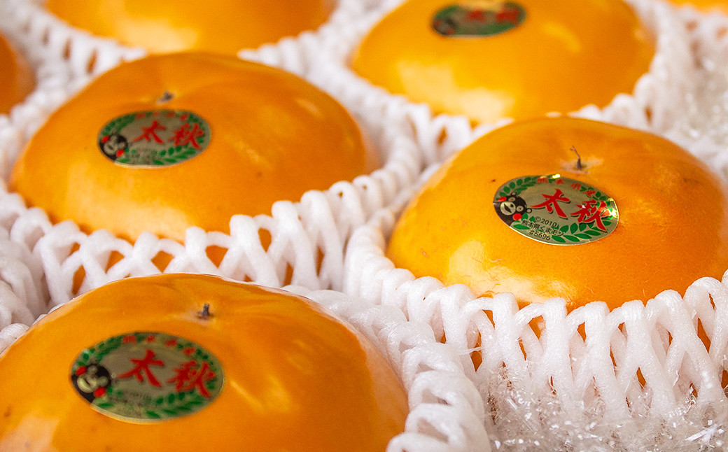 上村農園の 太秋柿 3.5kg (約10〜12玉)