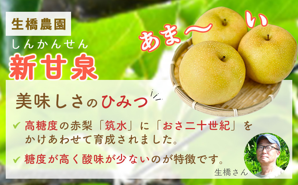 箱詰めのイメージ