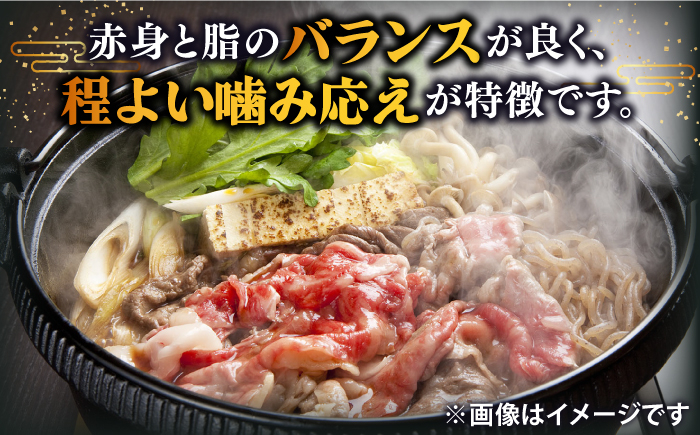 人気 和牛  壱岐牛 希少 柔らかい やわらかい 贈り物 ギフト  肉 黒毛和牛