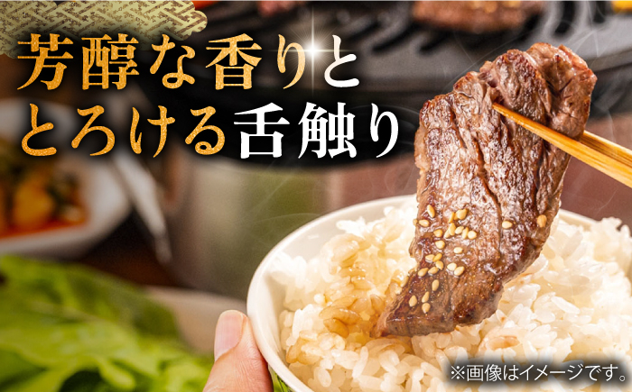 ハンバーグ 人気 和牛  長崎和牛 希少 柔らかい やわらかい 贈り物 ギフト