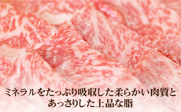 ステーキ 人気 和牛  壱岐牛 希少 柔らかい やわらかい 贈り物 ギフト  肉