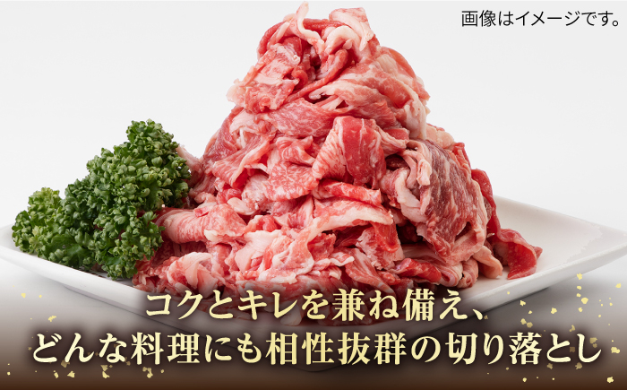 ステーキ 人気 和牛  壱岐牛 希少 柔らかい やわらかい 贈り物 ギフト  肉