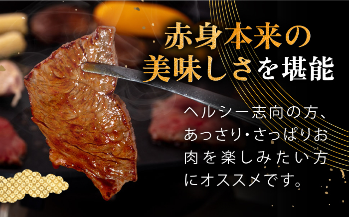 ハンバーグ 人気 和牛  長崎和牛 希少 柔らかい やわらかい 贈り物 ギフト