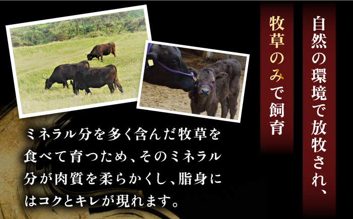 ステーキ 人気 和牛  壱岐牛 希少 柔らかい やわらかい 贈り物 ギフト  肉