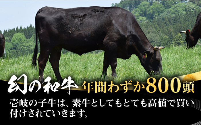 ハンバーグ 人気 和牛  長崎和牛 希少 柔らかい やわらかい 贈り物 ギフト 