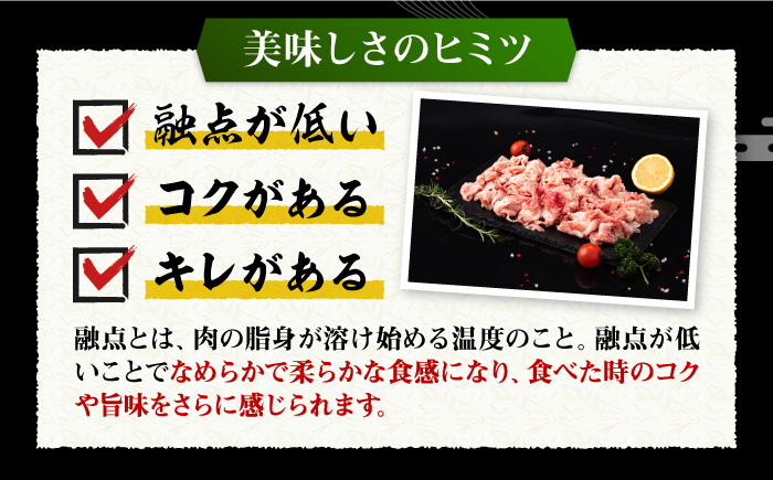 ハンバーグ 人気 和牛  長崎和牛 希少 柔らかい やわらかい 贈り物 ギフト 