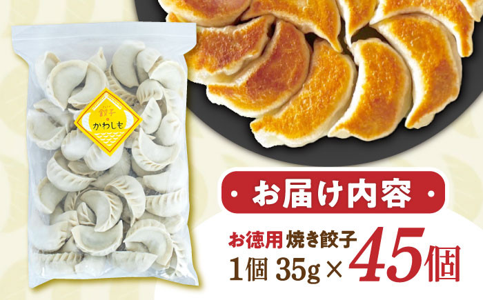 TVで話題沸騰 ニンニク不使用 大容量 冷凍 焼き餃子 35g×45ヶ