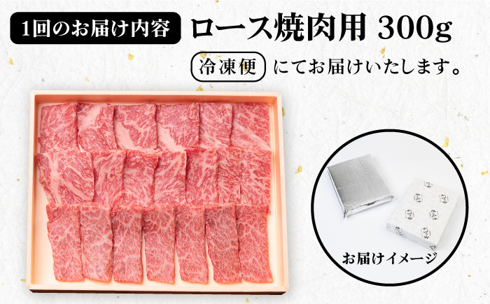 ステーキ 人気 和牛  壱岐牛 希少 柔らかい やわらかい 贈り物 ギフト  肉