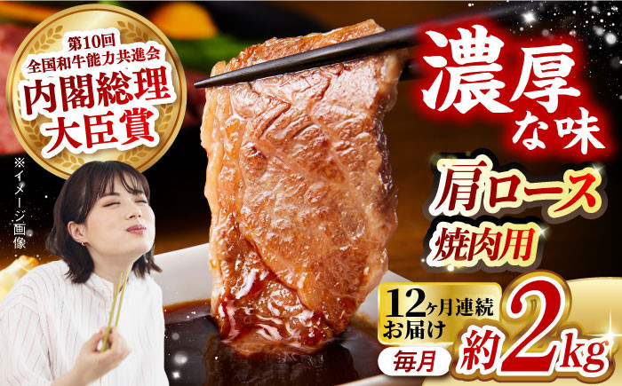 肉 牛 和牛 ロース 焼肉 焼き肉 西海市 長崎 九州 定期便