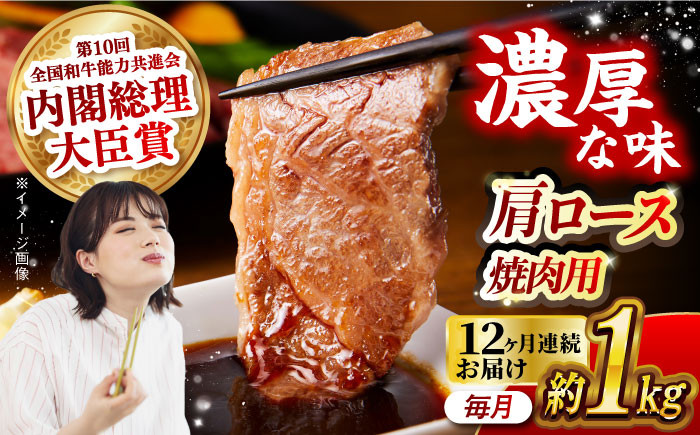 肉 牛 和牛 ロース 焼肉 焼き肉 西海市 長崎 九州 定期便