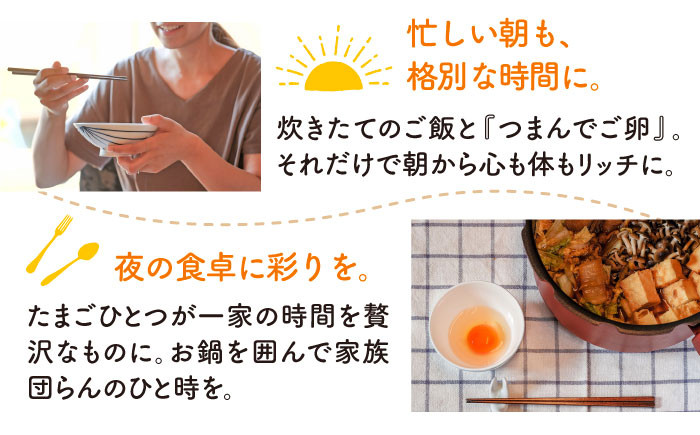 たまご 卵 鶏卵 玉子 平飼い たまごかけご飯 卵かけご飯 卵焼き