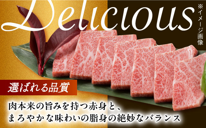 肉 牛 和牛 ロース 焼肉 焼き肉 西海市 長崎 九州 定期便