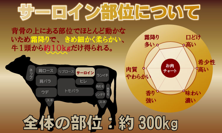 佐賀牛 サーロインステーキ 500g ステーキ ステーキ肉 牛肉 牛肉ステーキ サーロイン A5 佐賀県 小城市
