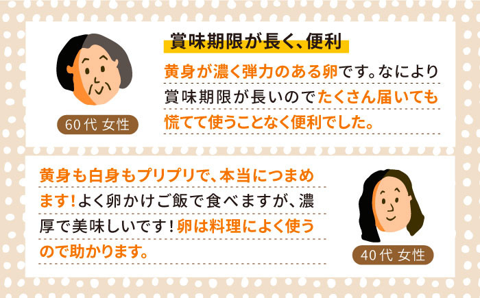 たまご 卵 鶏卵 玉子 平飼い たまごかけご飯 卵かけご飯 卵焼き