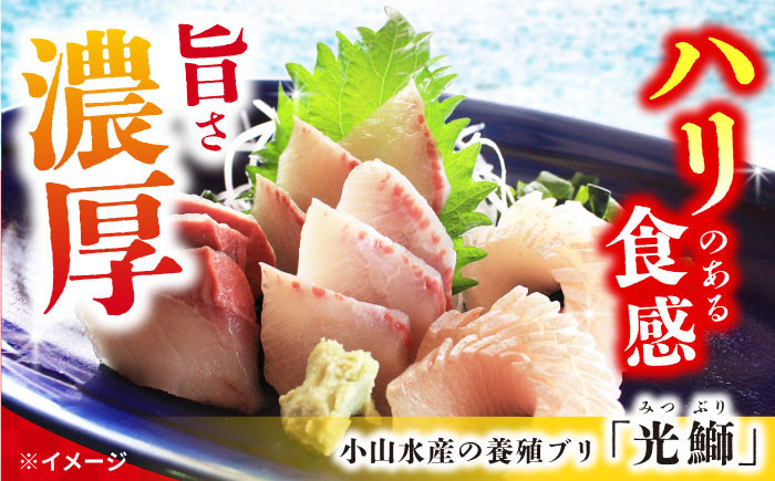西海市産 ブリ 冷蔵