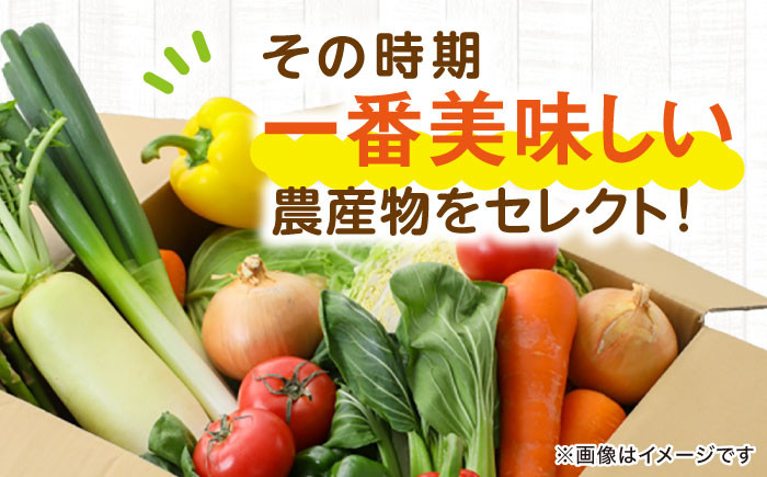 旬を味わう野菜セットと果物定期便(8種以上)