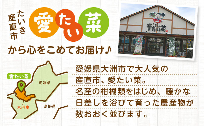 旬を味わう野菜セットとフルーツ 詰め合わせセレクションボックス(8種以上)