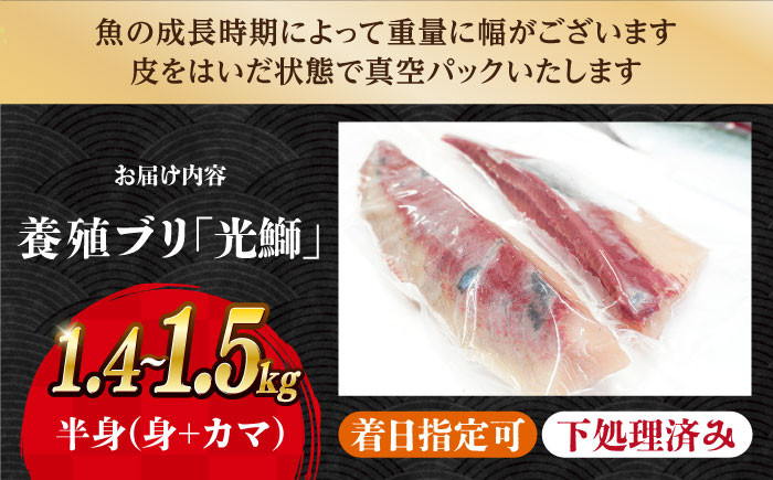 ブリ ブロック 刺身用