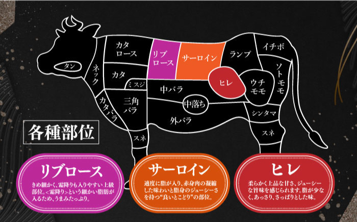 国産 牛肉 ヒレ ひれ ヒレステーキ 長崎和牛