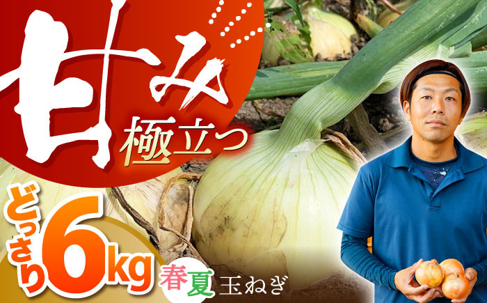 【毎日のお料理に】玉ねぎ タマネギ 江北町産 たまねぎ 約6kg