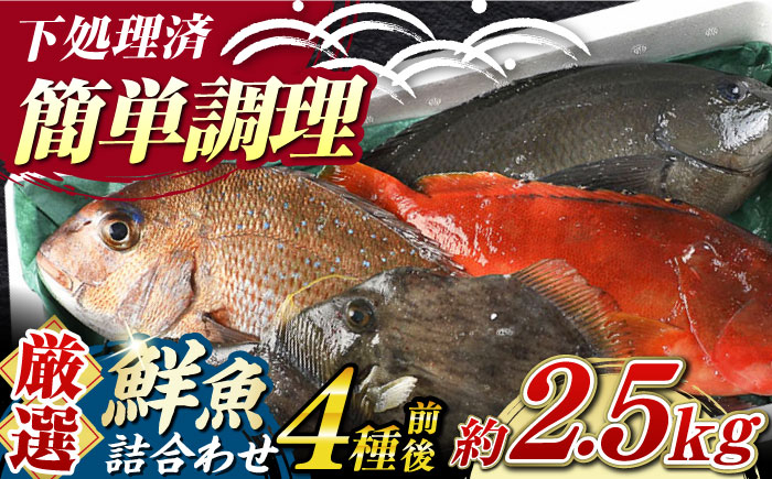 海鮮 旬 活〆 活締め 厳選 刺身 刺し身 魚介 海鮮丼 寿司 煮付け 焼き魚 イカ サバ 魚 さしみ 鮮魚 魚介類 海の幸 
